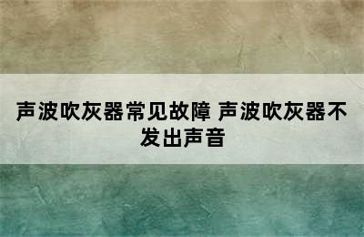 声波吹灰器常见故障 声波吹灰器不发出声音